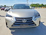 Lexus NX 2017