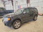 Ford Escape 2011