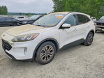 Ford Escape 2020