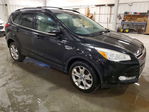 Ford Escape 2013