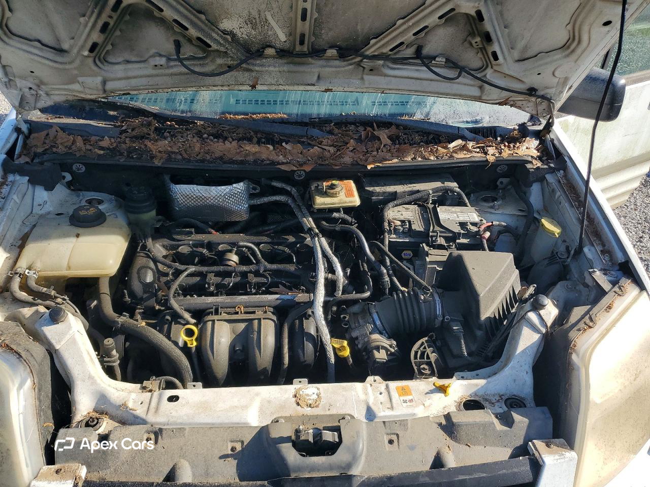 Ford Transit 2013