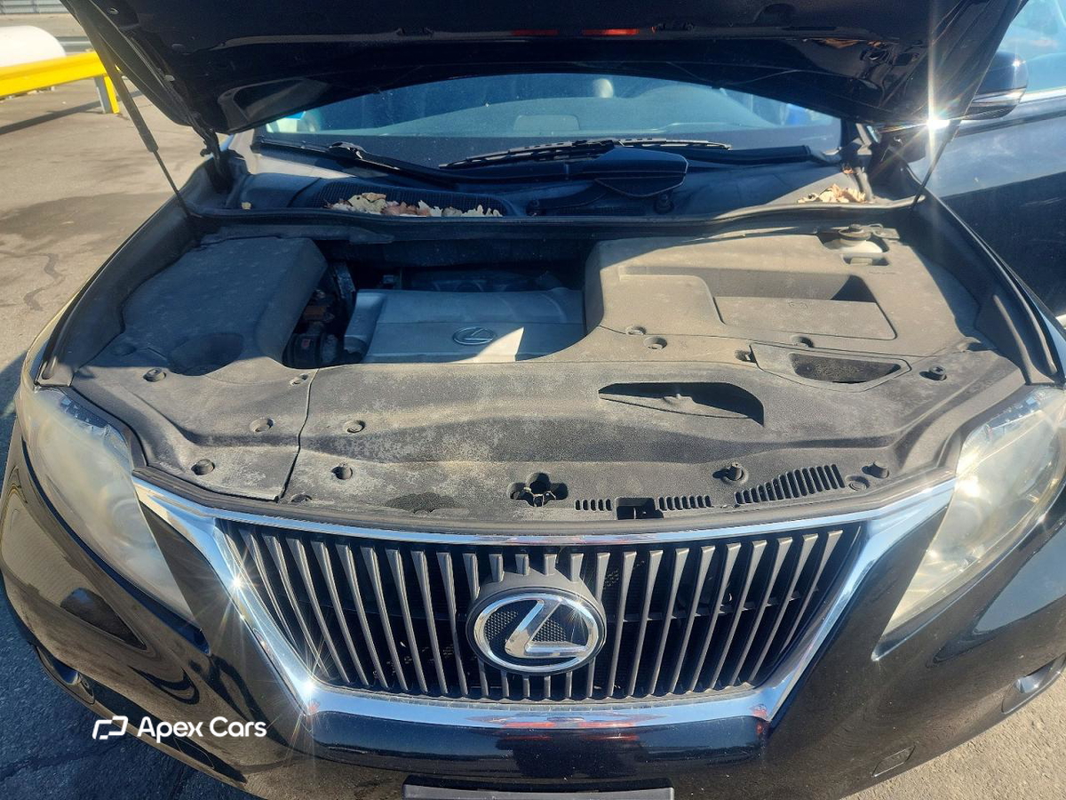 Lexus RX 2010