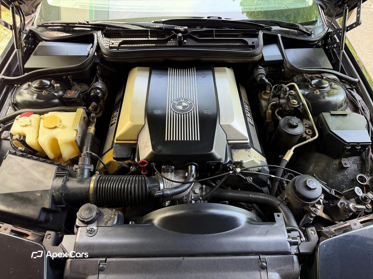 BMW Series 8 1995