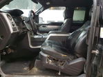 Ford F-150 2010