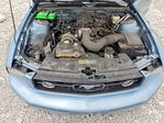 Ford Mustang 2008