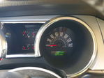Ford Mustang 2005
