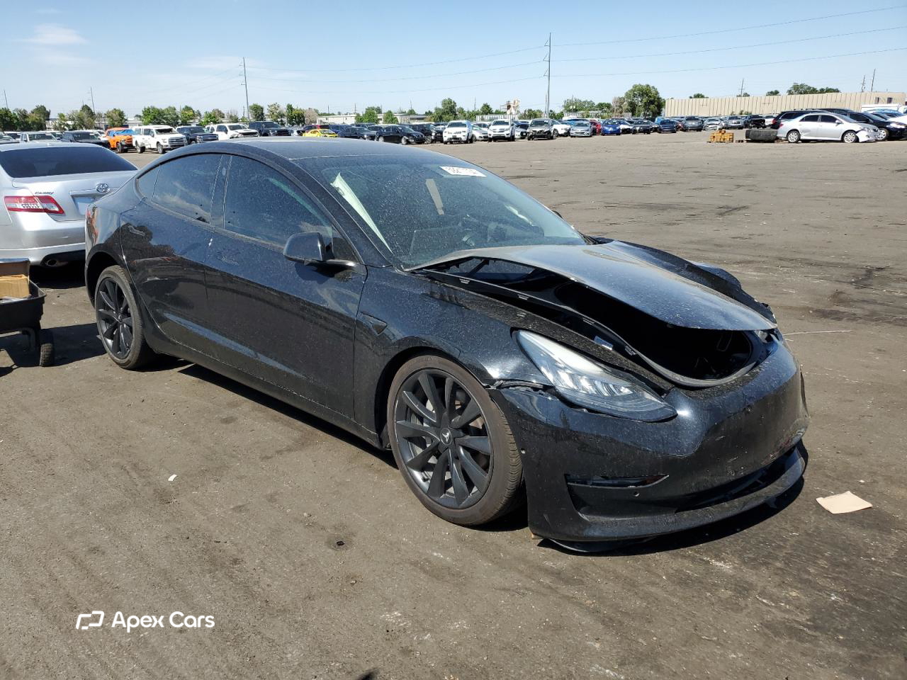 Tesla Model 3 2019