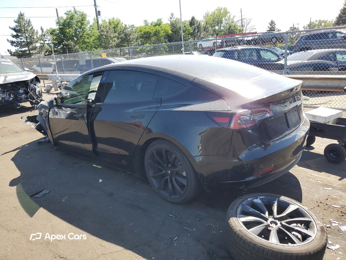 Tesla Model 3 2019