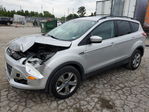 Ford Escape 2013