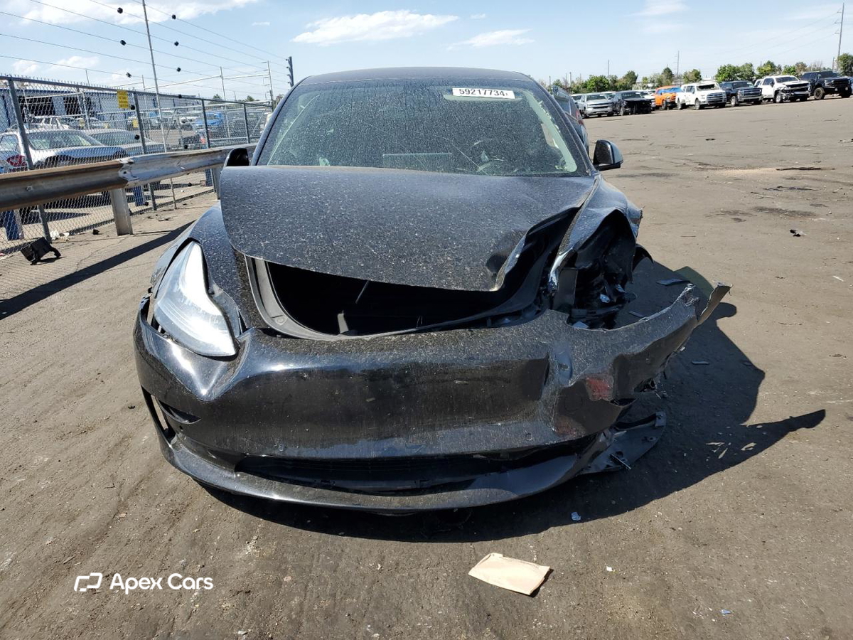 Tesla Model 3 2019