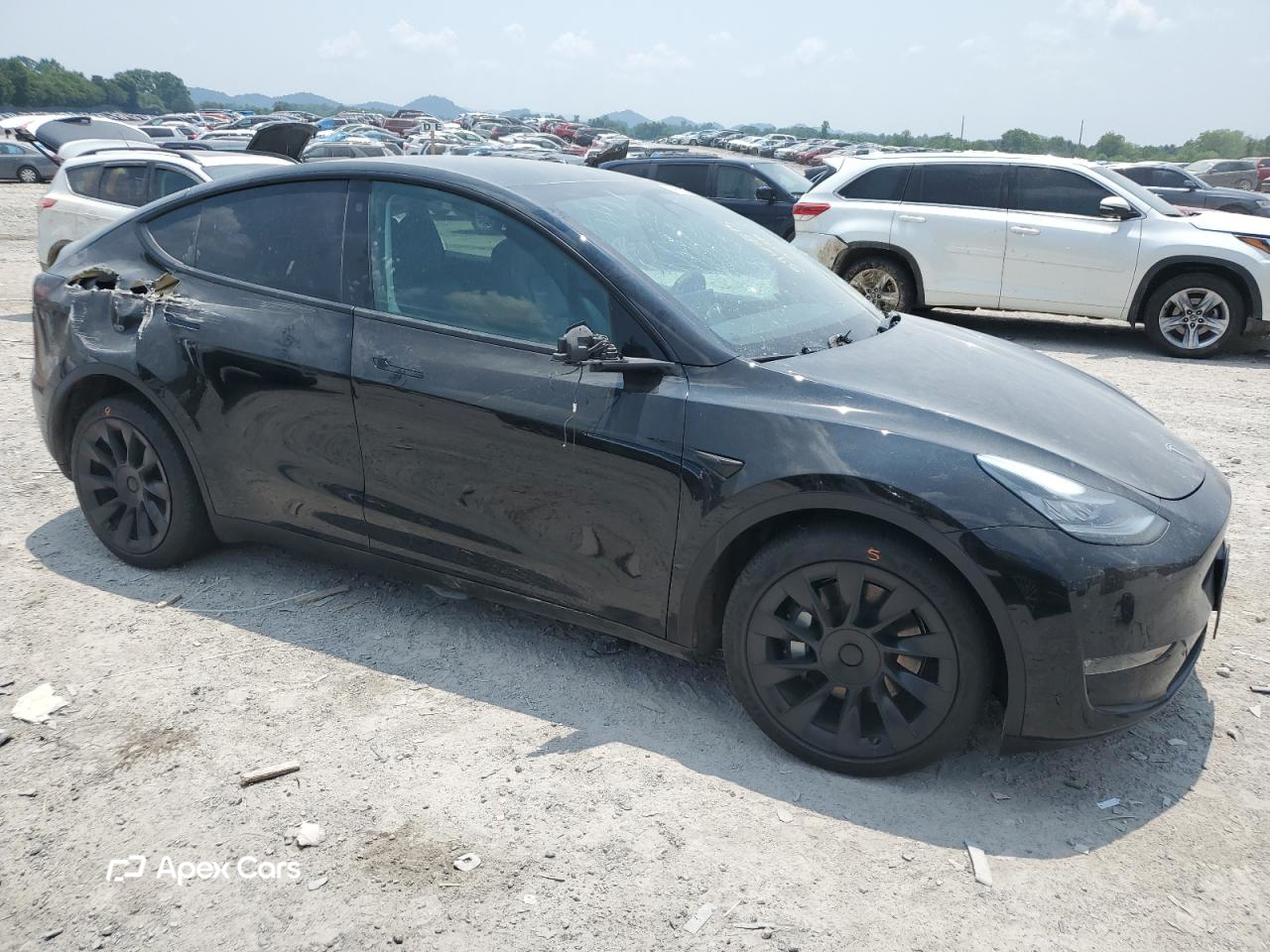 Tesla Model Y 2021