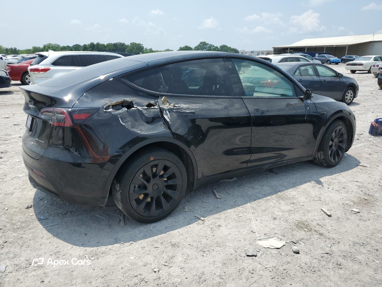 Tesla Model Y 2021