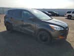 Ford Escape 2015