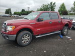 Ford F-150 2013