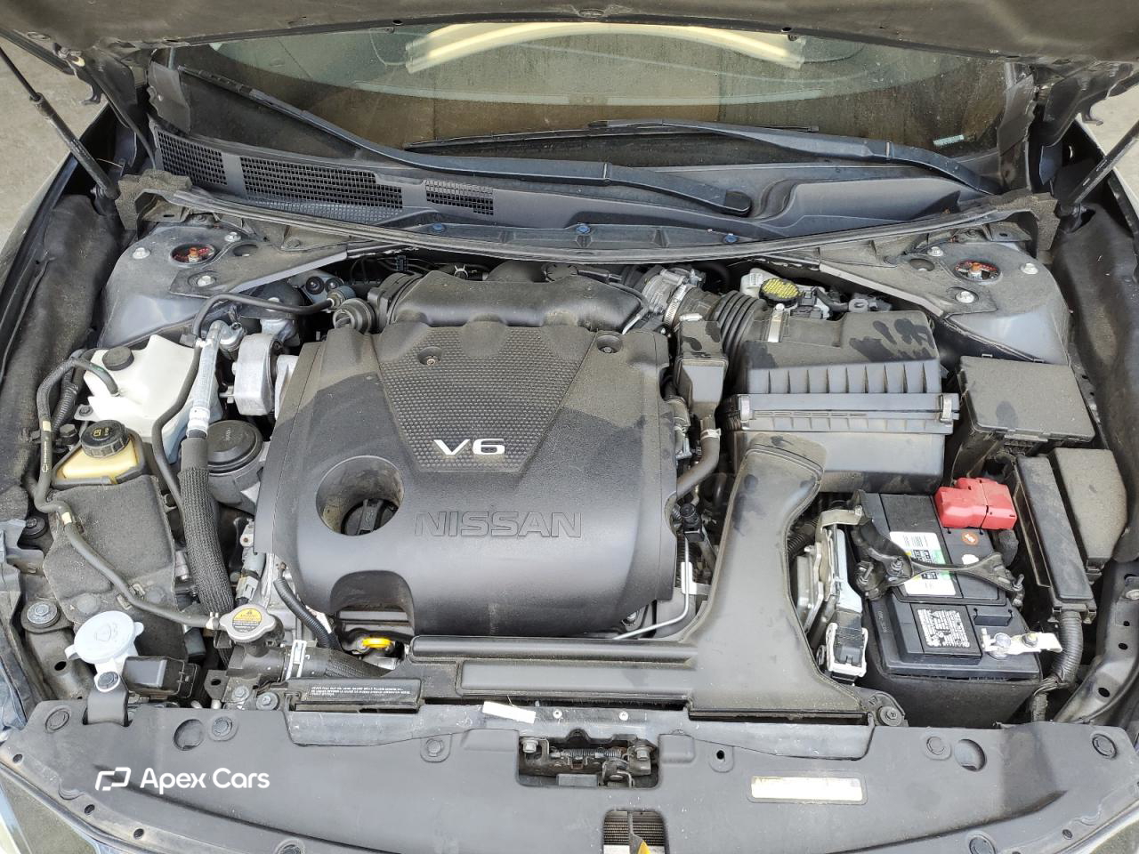 Nissan Maxima 2020
