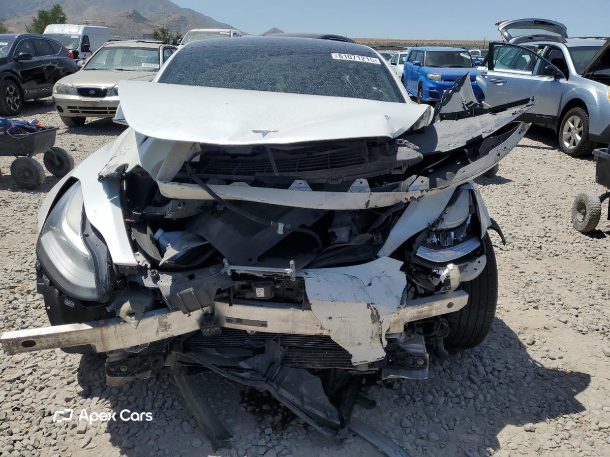 Tesla Model 3 2019