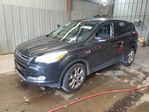 Ford Escape 2013