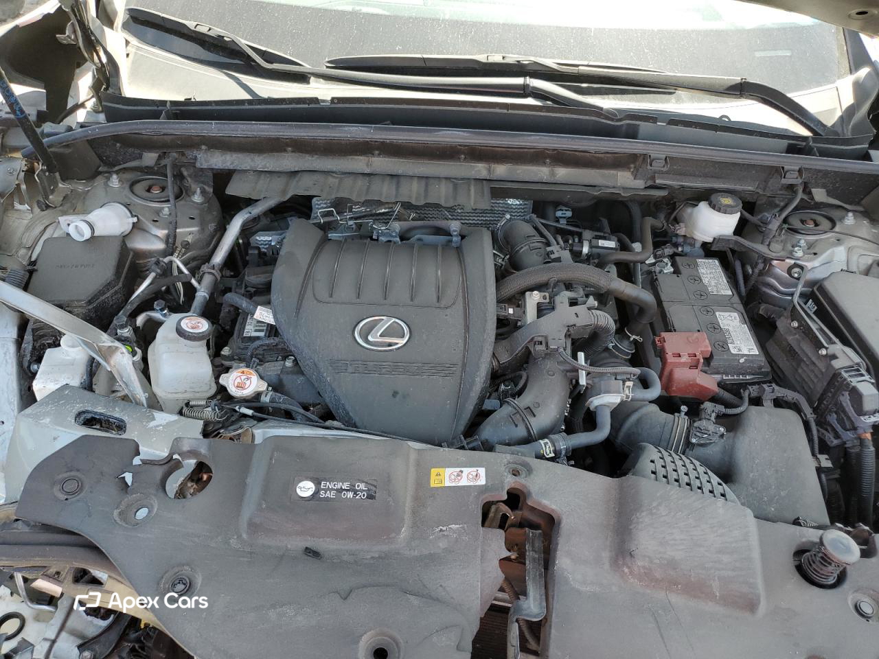 Lexus NX 2024