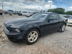 Ford Mustang 2014