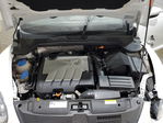 Volkswagen Beetle 2013