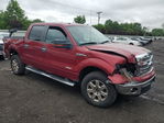Ford F-150 2013