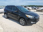 Ford Escape 2015