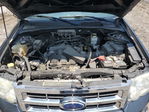 Ford Escape 2008