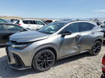 Lexus NX 2024