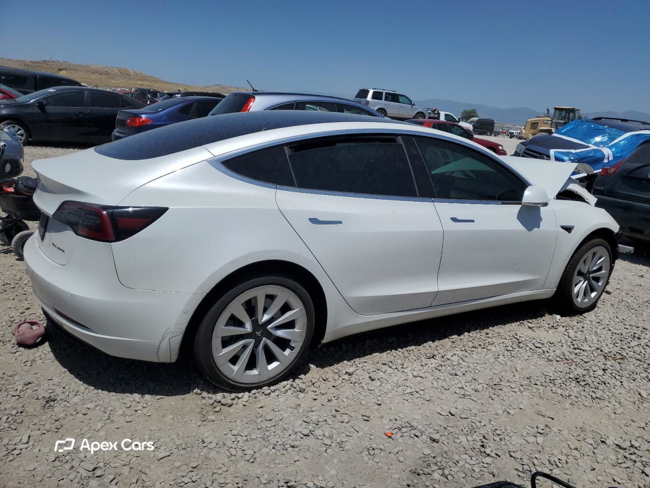 Tesla Model 3 2019