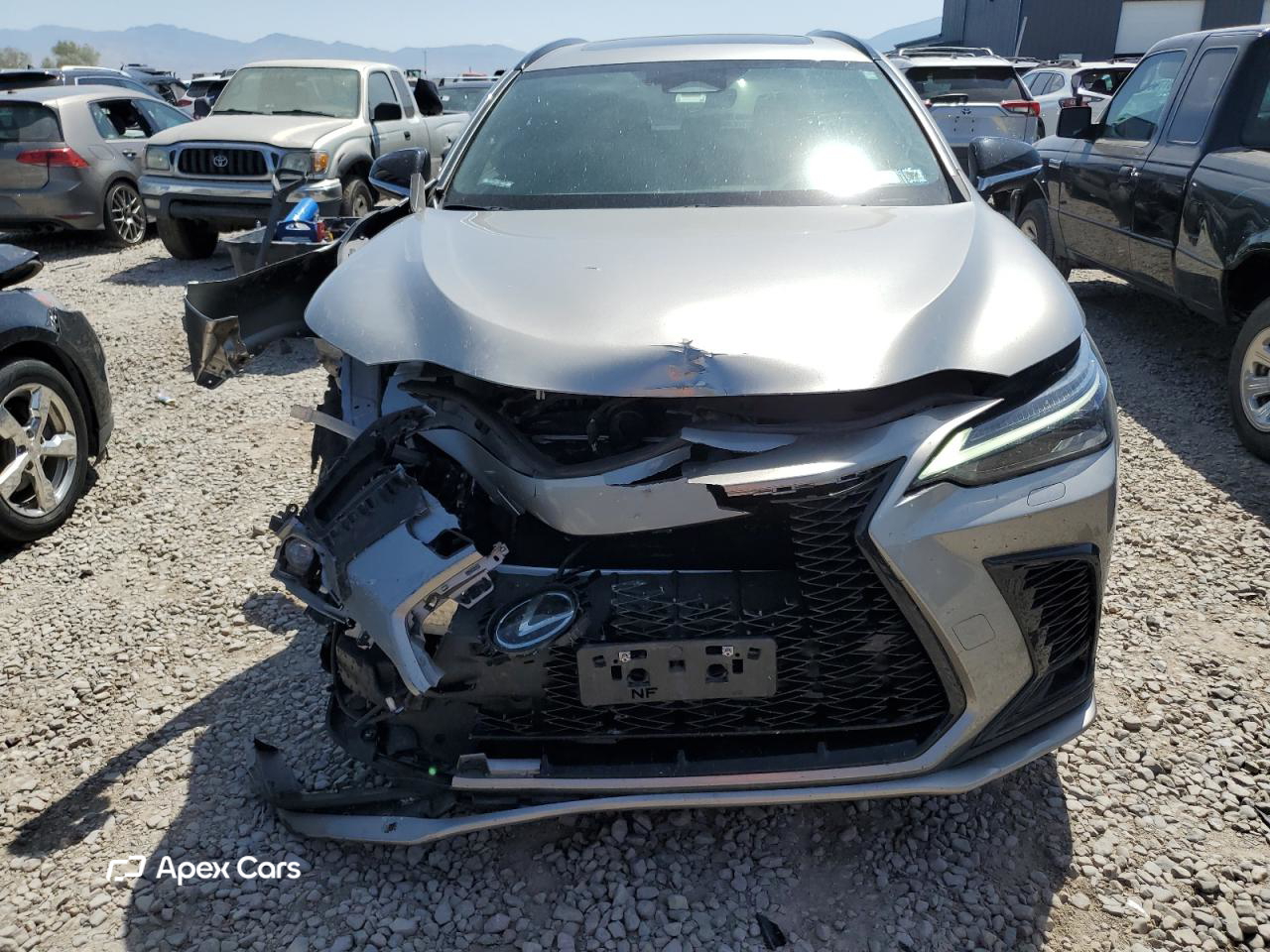 Lexus NX 2024