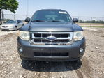 Ford Escape 2008