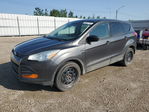 Ford Escape 2015