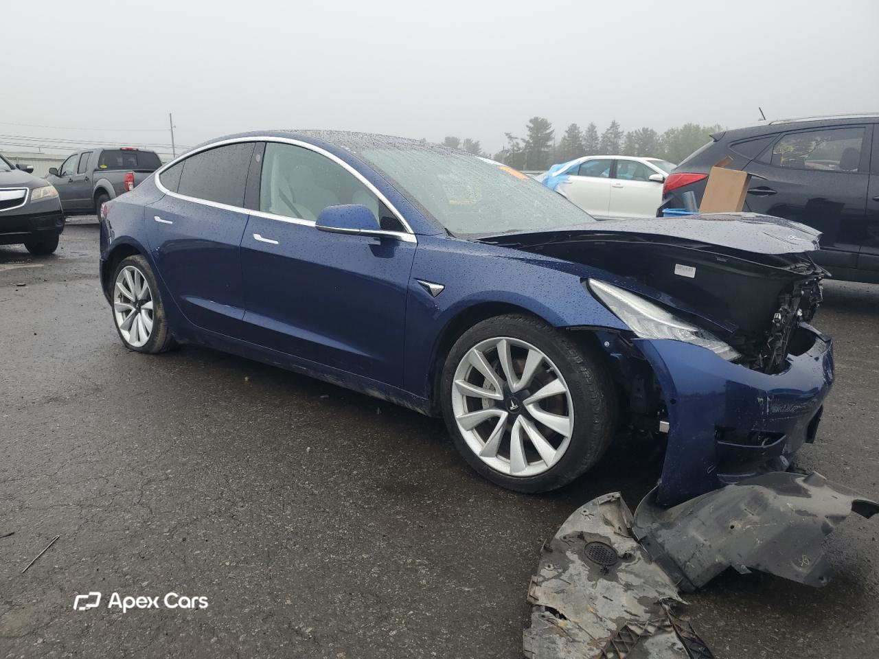 Tesla Model 3 2019