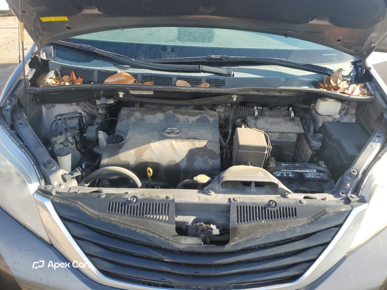 Toyota Sienna 2013