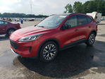 Ford Escape 2020