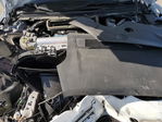 Tesla Model S 2023