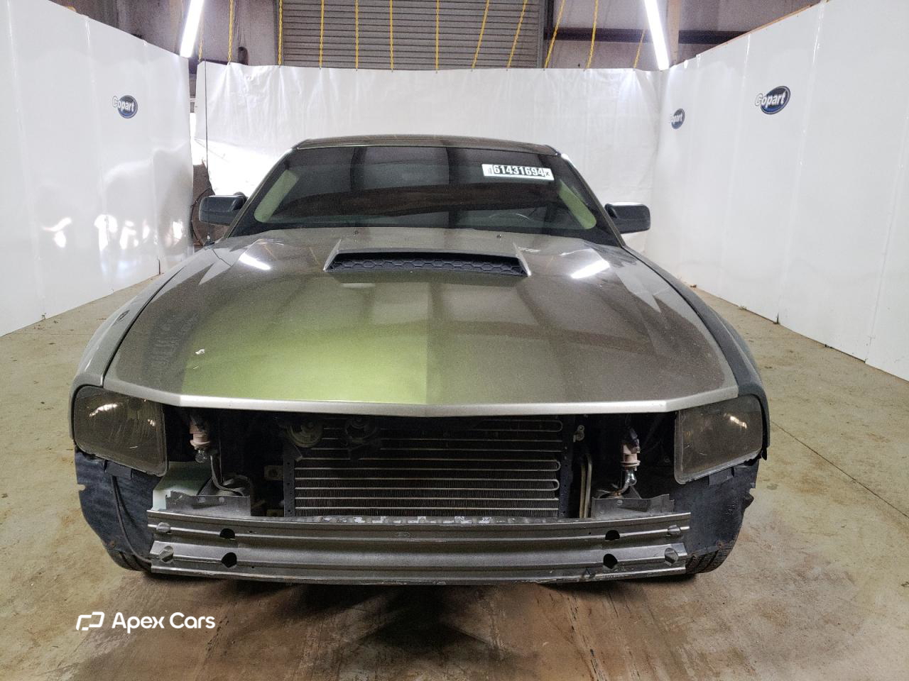 Ford Mustang 2005
