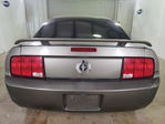 Ford Mustang 2005