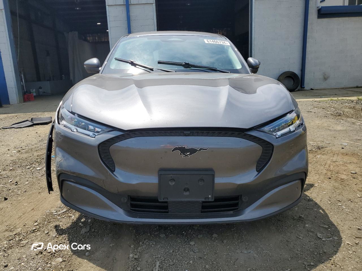 Ford Mustang 2021