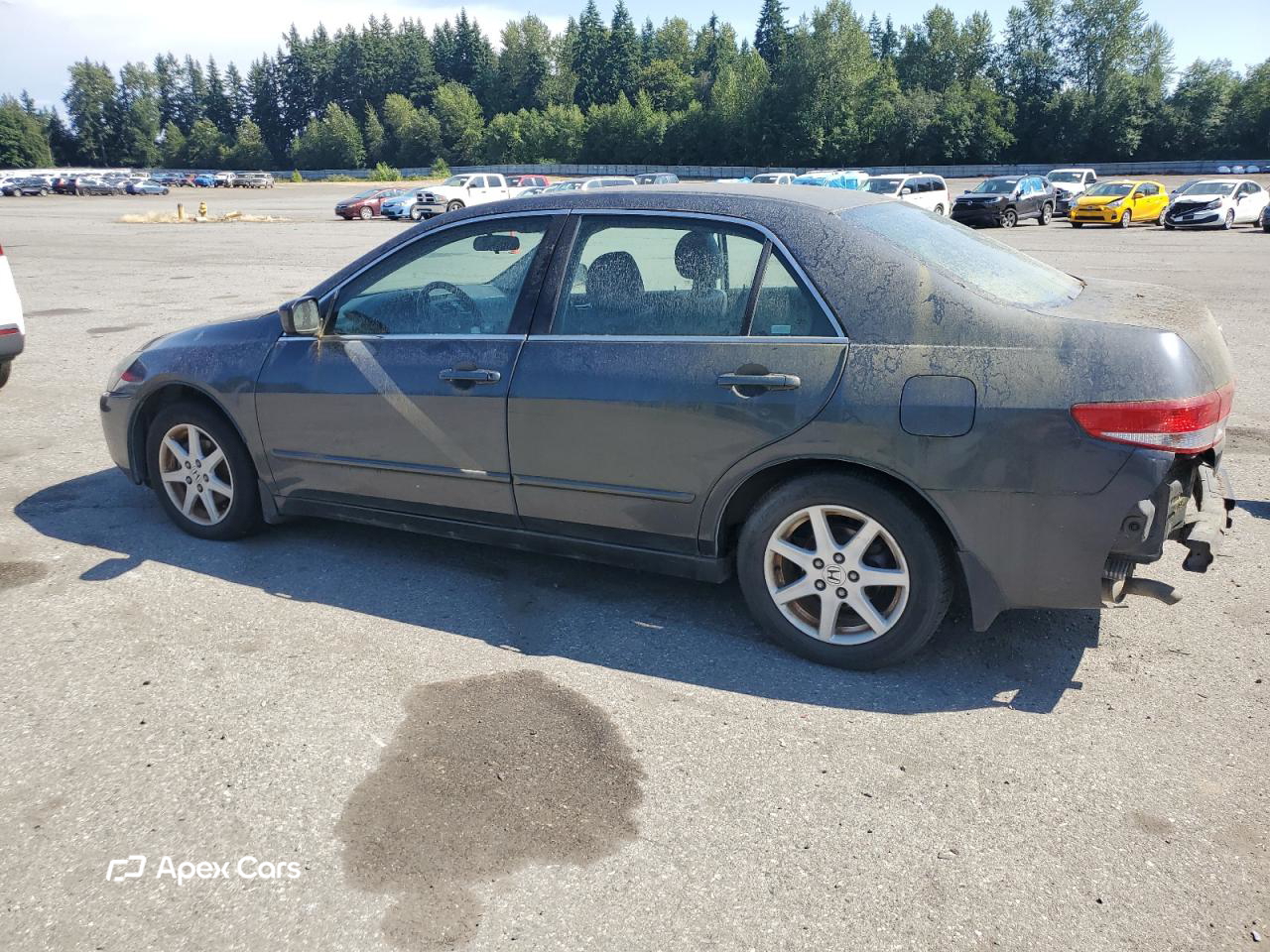 Honda Accord 2003