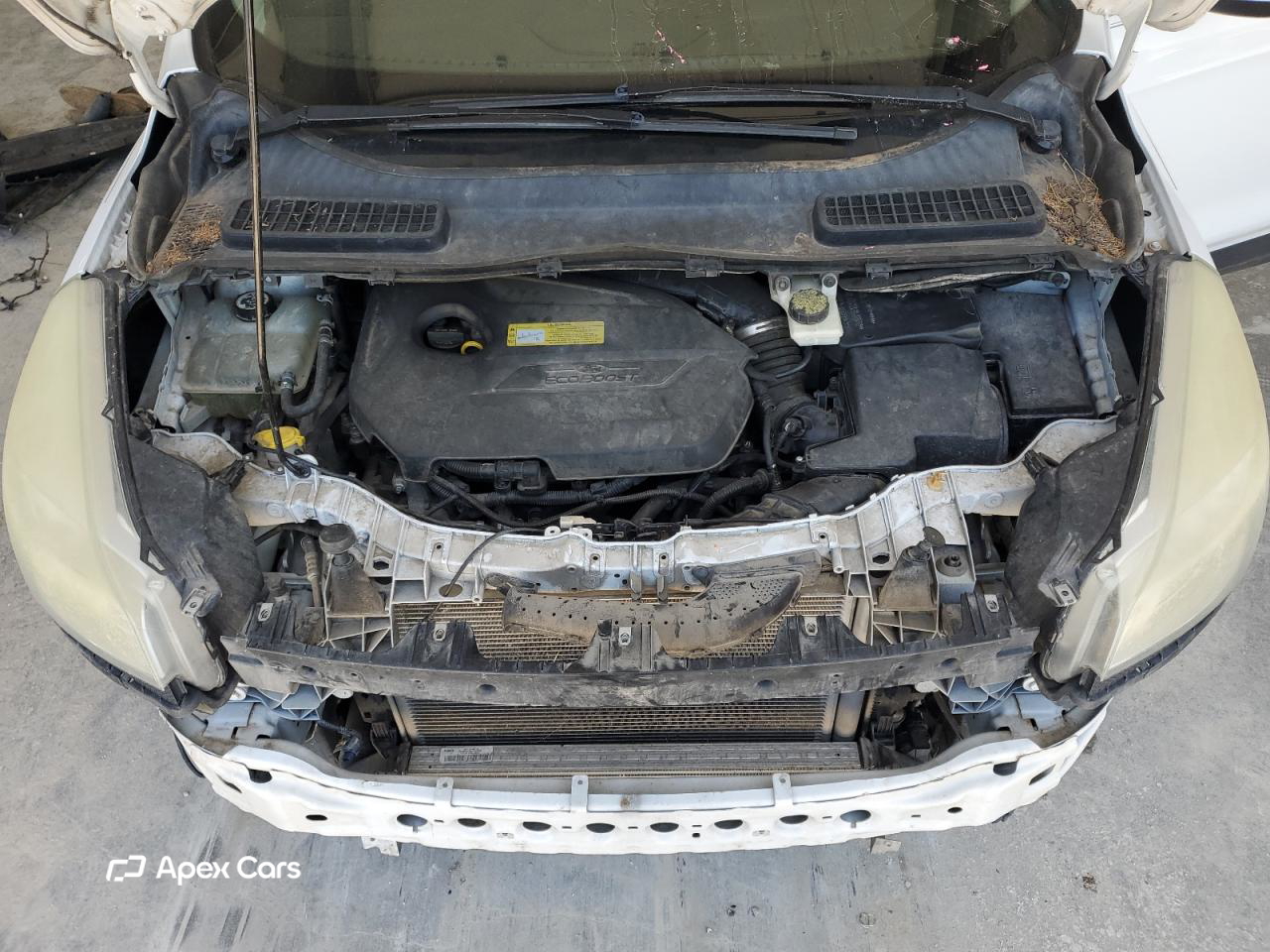 Ford Escape 2014