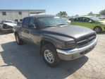 Dodge Dakota 2002