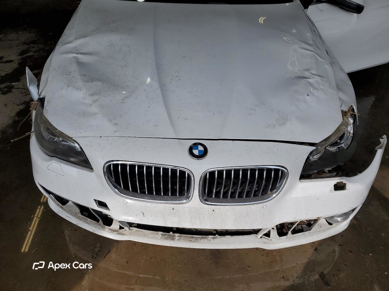 BMW Series 5 2015