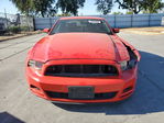 Ford Mustang 2014