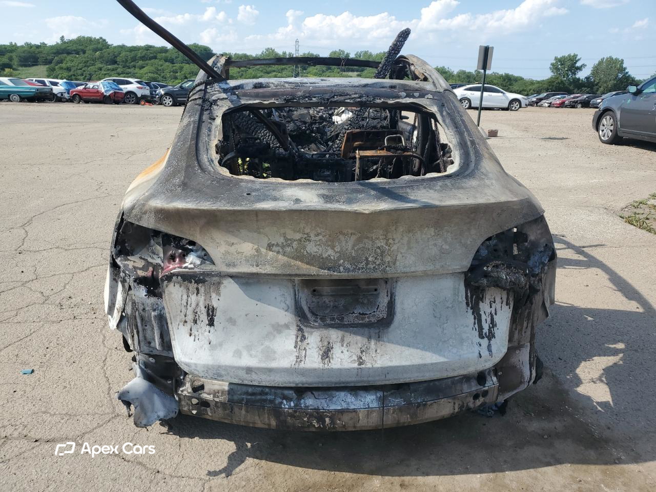 Tesla Model Y 2024