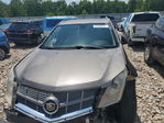 Cadillac SRX 2011
