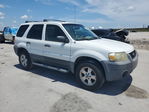 Ford Escape 2007