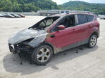 Ford Escape 2014