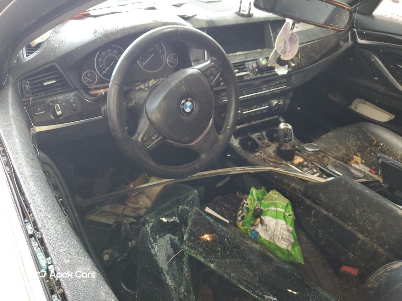 BMW Series 5 2015