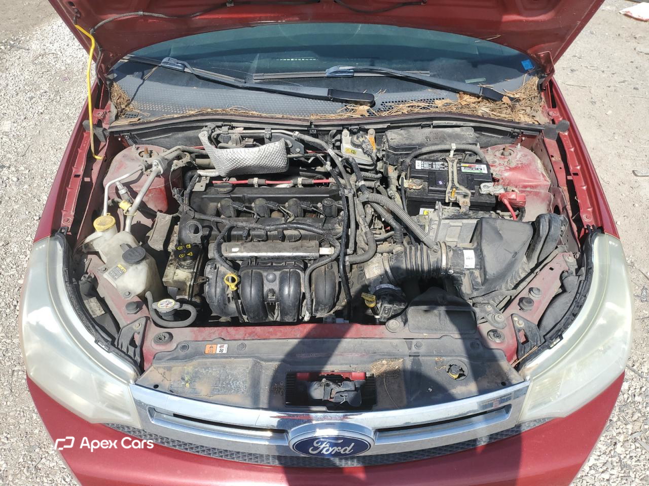 Ford Focus 2010